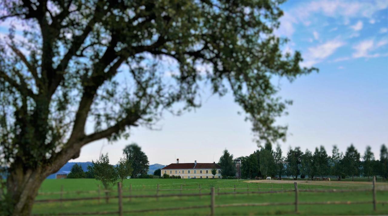 Reiterbauernhof Schoenlehenhof Mank Экстерьер фото